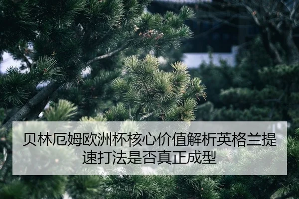 bei-lin-e-mu-ou-zhou-bei-he-xin-jia-zhi-jie-xi-ying-ge-lan-ti-su-da-fa-shi-fou-zhen-zheng-cheng-xing-2-408.jpg