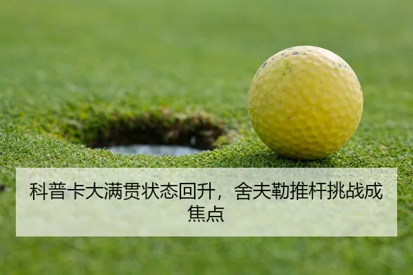ke-pu-ka-da-man-guan-zhuang-tai-hui-sheng-she-fu-lei-tui-gan-tiao-zhan-cheng-jiao-dian-3-421.jpg
