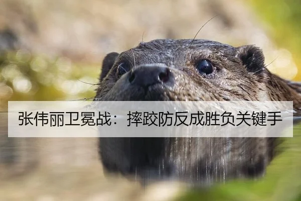 张伟丽卫冕战：摔跤防反成胜负关键手
