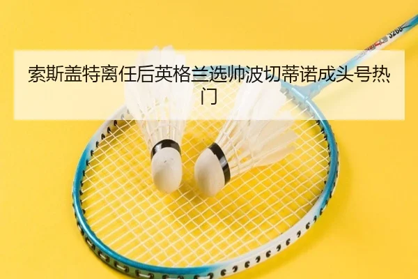 索斯盖特离任后英格兰选帅波切蒂诺成头号热门
