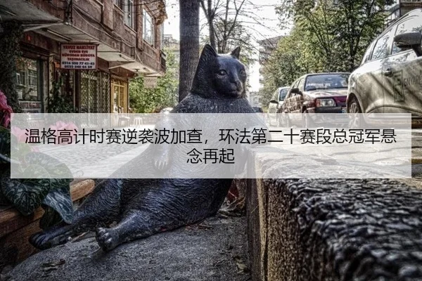 温格高计时赛逆袭波加查，环法第二十赛段总冠军悬念再起