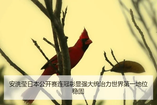 an-xi-ying-ri-ben-gong-kai-sai-lian-guan-zhang-xian-qiang-da-tong-zhi-li-shi-jie-di-yi-di-wei-wen-gu-2-666.jpg